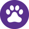 Pets & Animals
